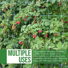 Load image into Gallery viewer, DL Wholesale Trellis Netting for Plant and Garden, Tomato, Grape, Vegetable, Cuc