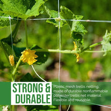 Load image into Gallery viewer, DL Wholesale Trellis Netting for Plant and Garden, Tomato, Grape, Vegetable, Cuc