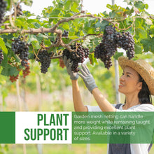 Load image into Gallery viewer, DL Wholesale Trellis Netting for Plant and Garden, Tomato, Grape, Vegetable, Cuc