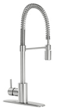Load image into Gallery viewer, Danze by Gerber Foodie Single Handle Kitchen Faucet (DH451188SS) Stainless steel