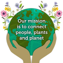 Load image into Gallery viewer, Pukka Organic Herbal Supplements Elderberry Immune Syrup (3.4oz / 100g)
