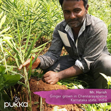 Load image into Gallery viewer, Pukka Organic Herbal Supplements Elderberry Immune Syrup (3.4oz / 100g)
