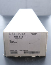 Load image into Gallery viewer, Kallista P31000-00-AD For Town 24&quot; Towel Bar

