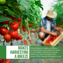 Load image into Gallery viewer, DL Wholesale Trellis Netting for Plant and Garden, Tomato, Grape, Vegetable, Cuc
