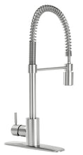 Load image into Gallery viewer, Danze by Gerber Foodie Single Handle Kitchen Faucet (DH451188SS) Stainless steel
