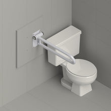 Load image into Gallery viewer, HealthCraft Products Wall Mounting Wood Plate (PT-WP-WD) Plate for P.T. Rail
