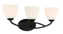 Load image into Gallery viewer, Park Harbor PHFVL1053BN Park Harbor PHFVL1053 Rowanty 3 Light 24" Wide Bathroom
