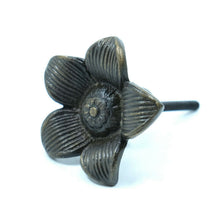 Load image into Gallery viewer, Signature Hardware Starflower Solid Brass Cabinet Knob (016214AB) Antique Brass
