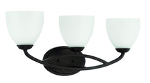 Load image into Gallery viewer, Park Harbor PHFVL1053BN Park Harbor PHFVL1053 Rowanty 3 Light 24" Wide Bathroom
