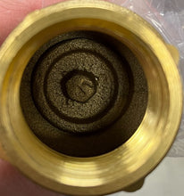 Load image into Gallery viewer, ProFlo 1" Brass Foot Valve with Stainless Steel Filter - PFXBFVG
