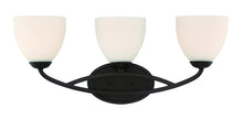 Load image into Gallery viewer, Park Harbor PHFVL1053BN Park Harbor PHFVL1053 Rowanty 3 Light 24" Wide Bathroom
