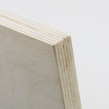 Load image into Gallery viewer, HealthCraft Products Wall Mounting Wood Plate (PT-WP-WD) Plate for P.T. Rail
