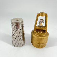 Load image into Gallery viewer, ProFlo 1-1/4" Brass Foot Valve with Stainless Steel Filter - PFXBFVH
