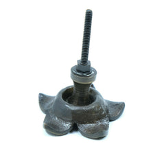 Load image into Gallery viewer, Signature Hardware Starflower Solid Brass Cabinet Knob (016214AB) Antique Brass
