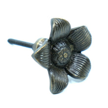 Load image into Gallery viewer, Signature Hardware Starflower Solid Brass Cabinet Knob (016214AB) Antique Brass
